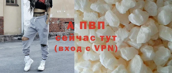 твердый Аркадак