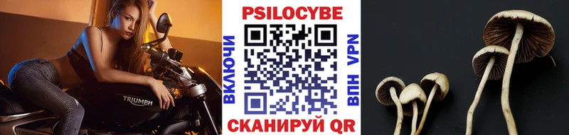 Псилоцибиновые грибы GOLDEN TEACHER  маркетплейс официальный сайт  Белый 